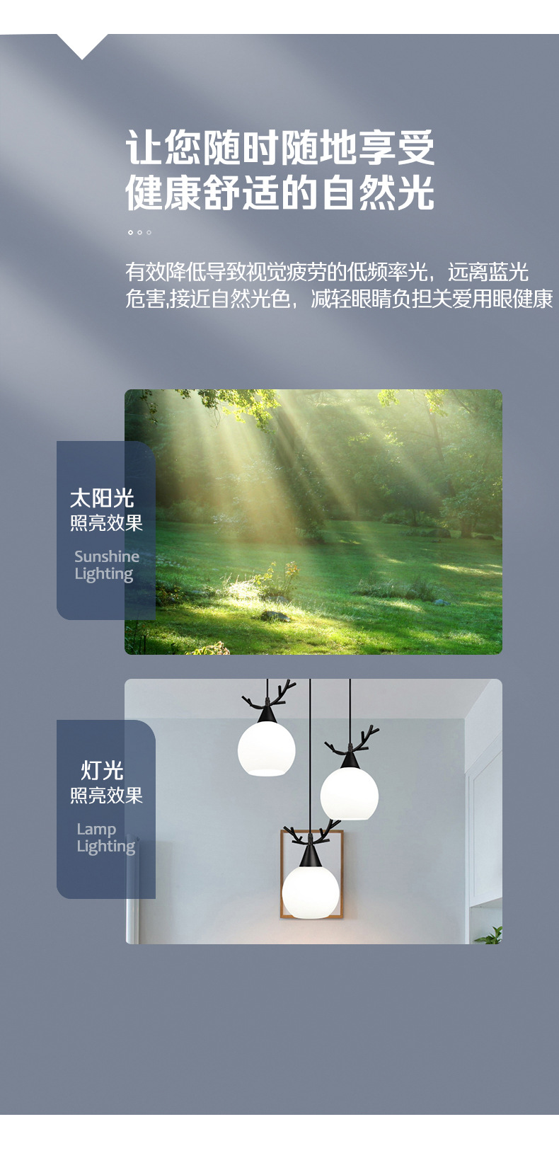 详情 (5).jpg