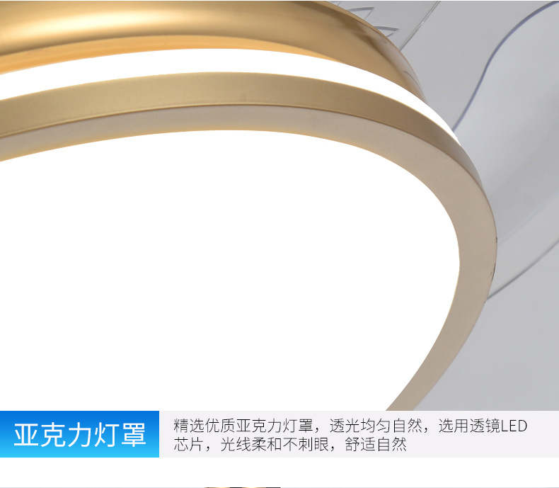 详情 (10).jpg