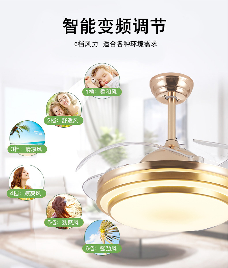 详情 (5).jpg