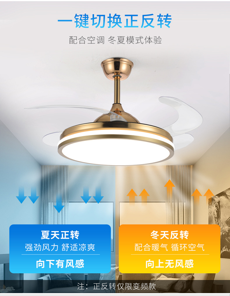 详情 (2).jpg