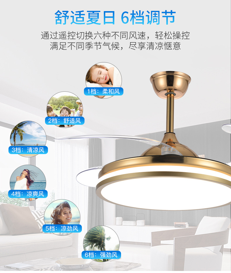 详情 (3).jpg