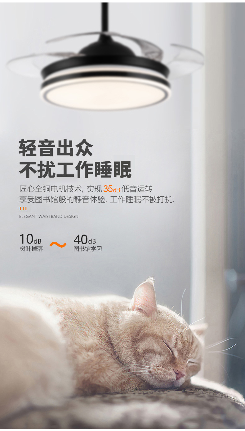 详情 (5).jpg