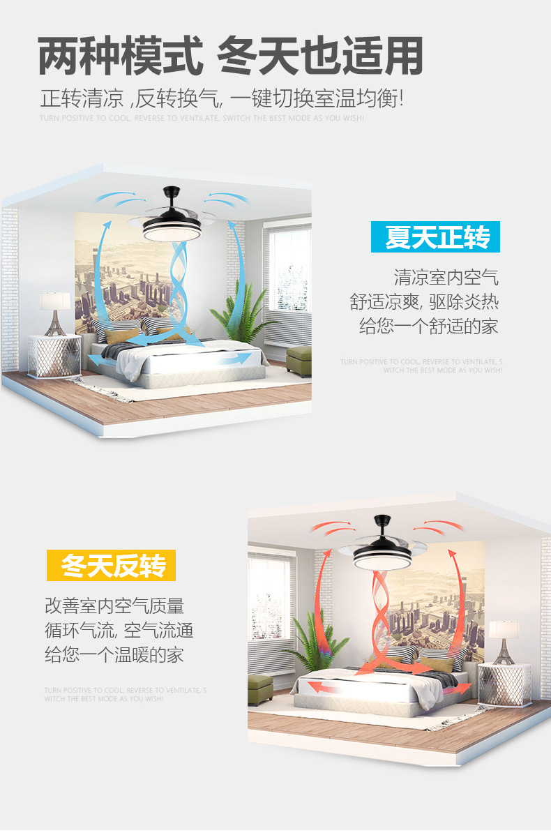 详情 (3).jpg