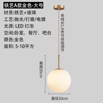 北欧后现代单头吊灯TH-9318、19