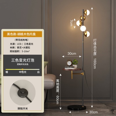 现代简约落地灯PQ-L9059