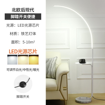 现代简约落地灯PQ-L9036