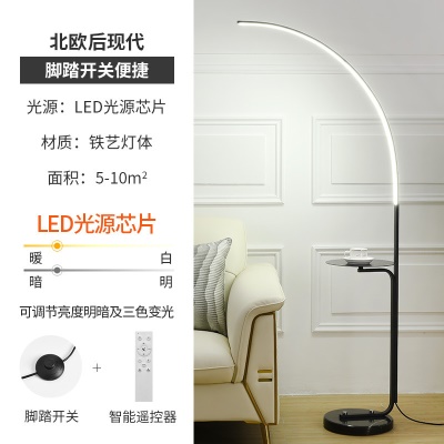 现代简约落地灯PQ-L9036