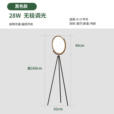 现代简约落地灯PQ-001