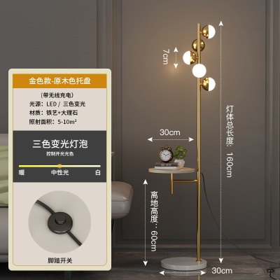 现代简约落地灯PQ-L9059
