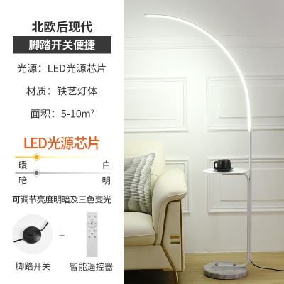 现代简约落地灯PQ-L9036