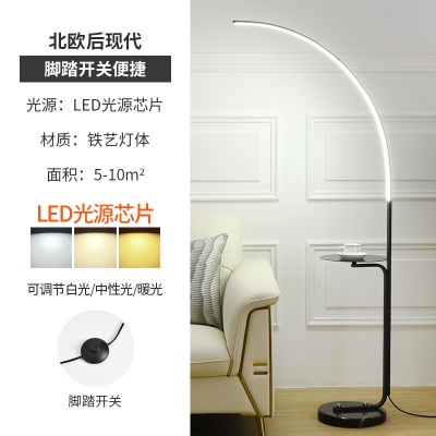 现代简约落地灯PQ-L9036