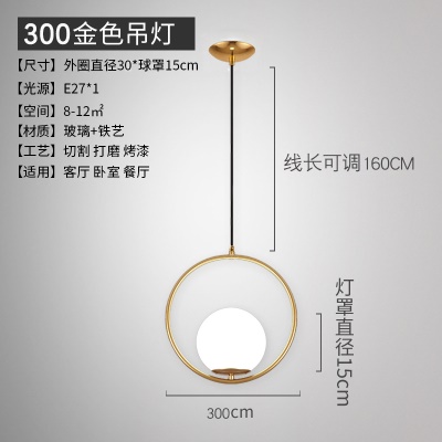 北欧后现代单头吊灯TH-9308