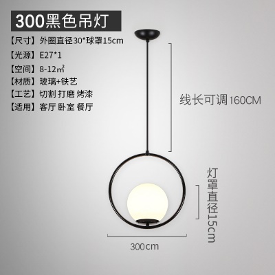 北欧后现代单头吊灯TH-9308