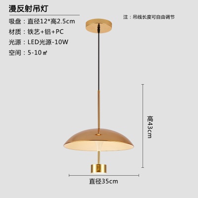 北欧后现代单头吊灯TH-9317