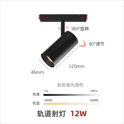黑色智能款20磁吸灯DD-CXZN