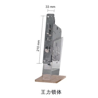 智能不锈钢锁体LS-6068