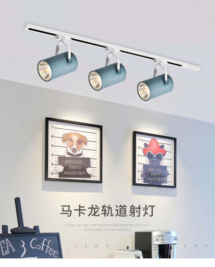 详情_01.jpg