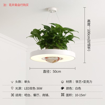 北欧植物餐吊灯