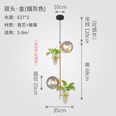 北欧植物小吊灯