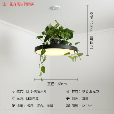 北欧植物小吊灯