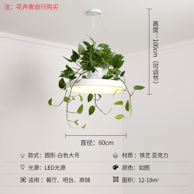 北欧植物小吊灯