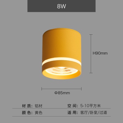 明装中亮筒灯NS-B145