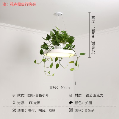 北欧植物小吊灯