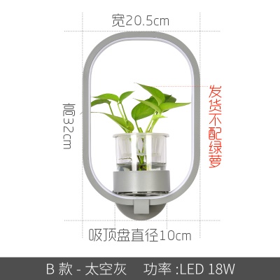 北欧植物壁灯