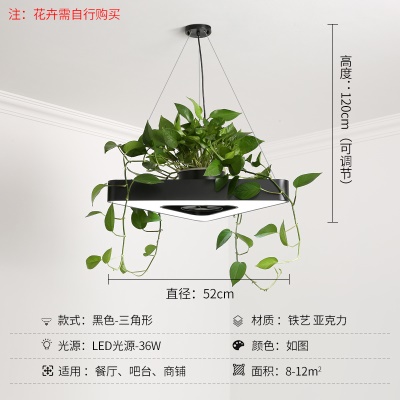 北欧植物小吊灯