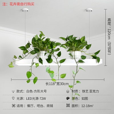 北欧植物小吊灯