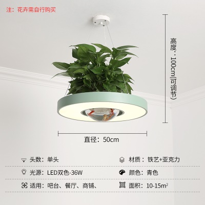 北欧植物餐吊灯
