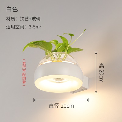 北欧植物壁灯