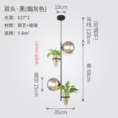 北欧植物小吊灯