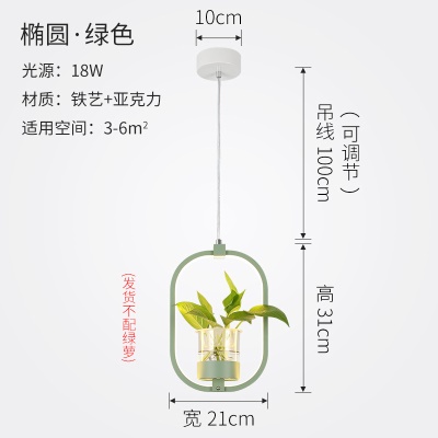 北欧植物小吊灯