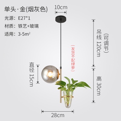 北欧植物小吊灯
