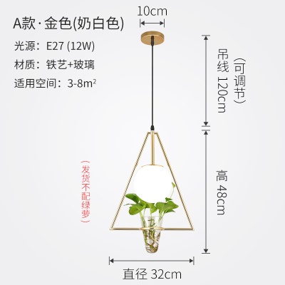 北欧植物小吊灯