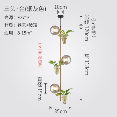 北欧植物小吊灯