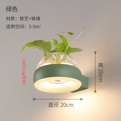 北欧植物壁灯