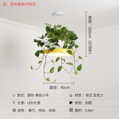 北欧植物小吊灯