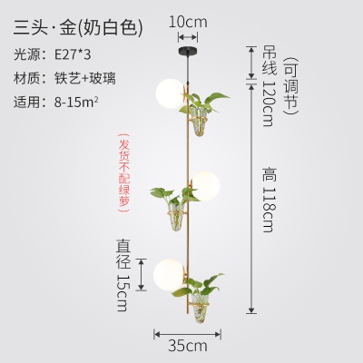 北欧植物小吊灯