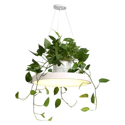 北欧植物小吊灯