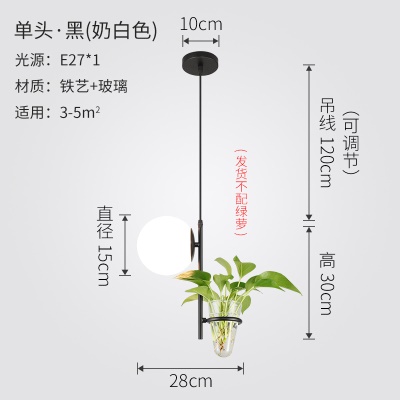 北欧植物小吊灯