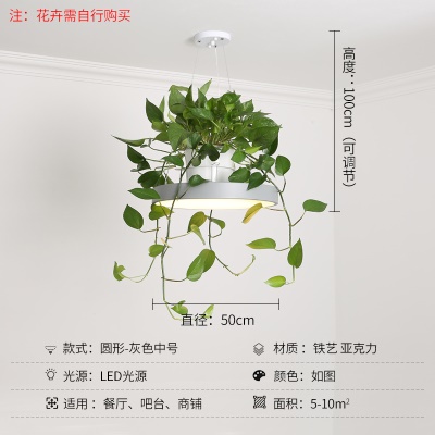 北欧植物小吊灯