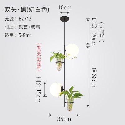 北欧植物小吊灯