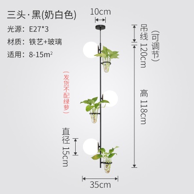 北欧植物小吊灯