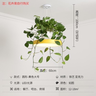 北欧植物小吊灯