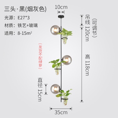 北欧植物小吊灯
