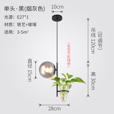 北欧植物小吊灯
