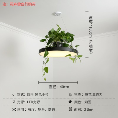 北欧植物小吊灯