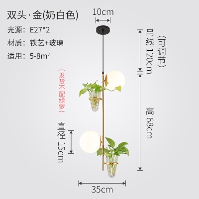 北欧植物小吊灯